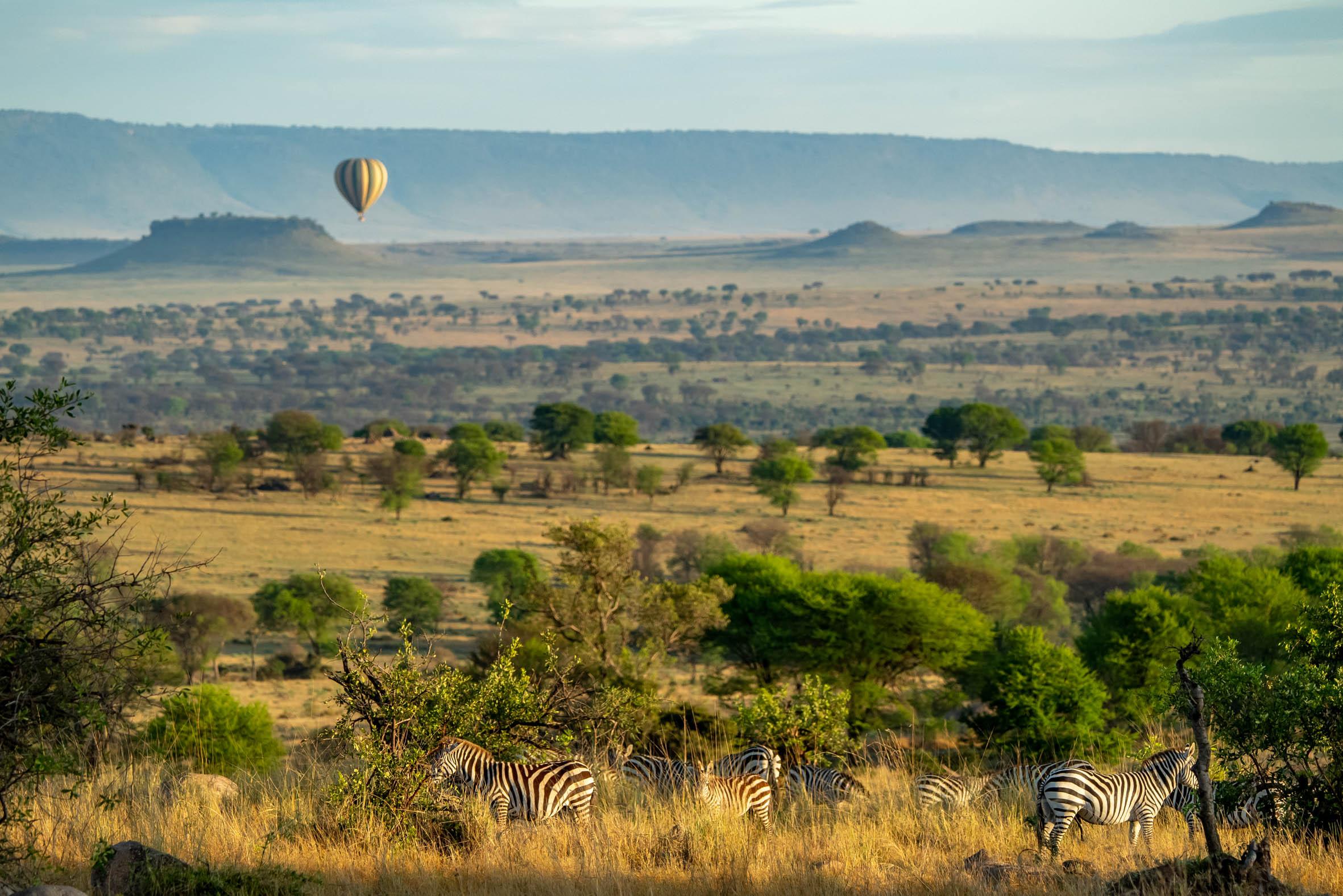 It’s wonderful to be flying in Serengeti